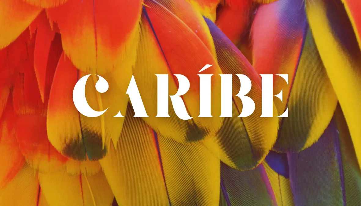 Caribe wordmark on macaw feathers