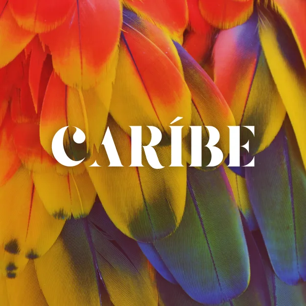 Feather wordmark
